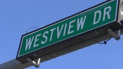 Roadside Protesters Demand Gun Control in Fla. News Clip