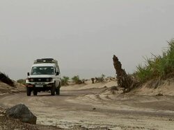 Two cars riding through landscape Stock Footage