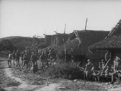 WWII in New Guinea Stock Footage