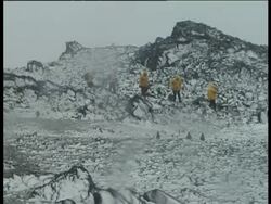 People walking amongst snow covered rocks, Half Moon Island, Antarctic Peninsula, Antarctica Stock Footage