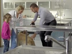 Vet Examining A Dog With Injured Paw Stock Footage