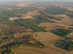 WS AERIAL View of farm field / North Carolina, United States Stock Footage