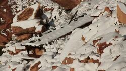 Snow dusts the wreckage of a semi trailer at the bottom of a rocky slope. Stock Footage