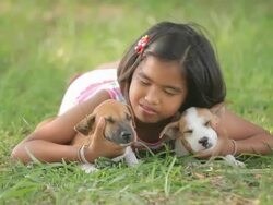 girl and puppy in the garden Stock Footage