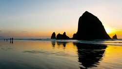 Ocean Beach Stock Footage