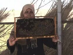 VOICED: Iraqi honey industry sours in wake of conflict News Clip