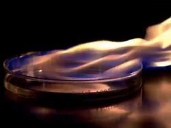Medium static-Flames rise from a liquid as it burns in a glass Petri dish. / Tennesee. USA Stock Footage