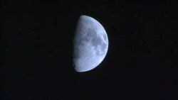 A half moon shines in the night sky. Stock Footage