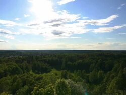 Back Lit Timelapse Stock Footage