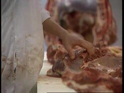 BELGIUM: BAN ON BRITISH BEEF HITS CONSUMER News Clip