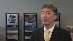 Conference to discuss impact of ICJ ruling on Japan's whale hunt News Clip