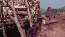 CLEAN : Zimbabwe faces worst malnutrition in 15 years: UNICEF News Clip