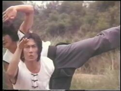 Kung Fu training exercise Stock Footage