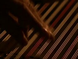 CU hands strumming Kanun, an Arabic musical instrument, Syria (sound available) Stock Footage