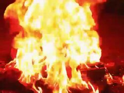 Raging campfire flames Stock Footage