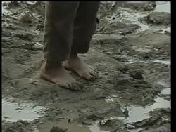 Conditions of Marsh Arabs slowly improving News Clip