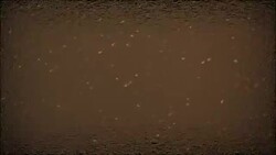 dust sand backgroud Stock Footage
