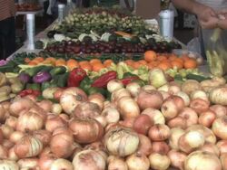 Farmers' Market Produce Stock Footage