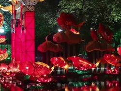 Festive lantern Stock Footage