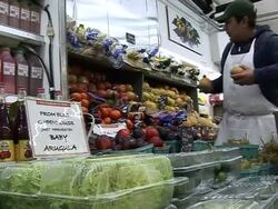 VOICED: Gardens spring up on New York rooftops News Clip