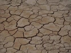 CU Cracks on arid desert ground / Mojave, California, USA Stock Footage