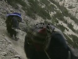 WS TD Yak and salt caravan descending to distant valley / near Ringmo village, Himalayas, Upper Dolpo, Nepal   Stock Footage