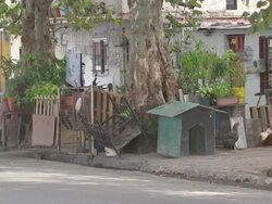 Poor District of Buenos Aires News Clip