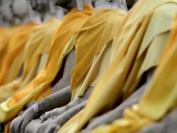 CU TU View of meditating buddha statues / Ayutthaya, Thailand Stock Footage