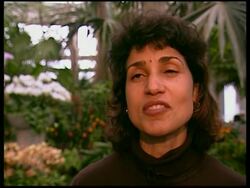 5,000 orchids on display at show in Bronix Botanical Gardens News Clip