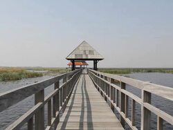 Natural trail route on the wetland. Stock Footage