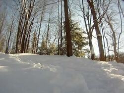 POV of a young man snowboarding through trees and jumping in the winter. - Model Released - HD Stock Footage