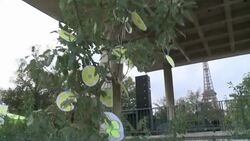 CLEAN : Protesters gather in Paris in memory of dead French activist News Clip