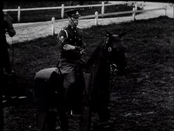 Rocking Horses Aid Young Cavalryman News Clip