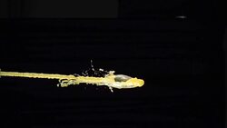 Beverage splash on black background Stock Footage