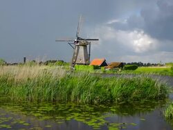 WS Shot of windmills near Leidschendam / South Holland, Netherlands Stock Footage