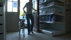 VOICED : Animales rehabilitados en Paris News Clip