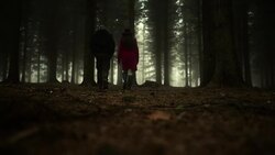 Two friends walking through forest Stock Footage