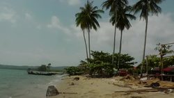 Squid disappearing from once pristine waters News Clip