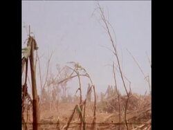 SYND 26-3-71 SOUTH VIETNAMESE FORCES WITHDRAW FROM LAOS News Clip