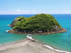 Beach in New Zealand Stock Footage