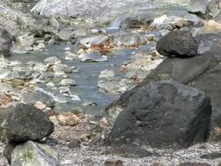 HD: Balance in nature (video) Stock Footage