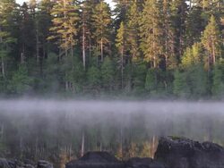 MS Shot of Early morning fog on Long Pond with Wilderness / Maine, United States Stock Footage
