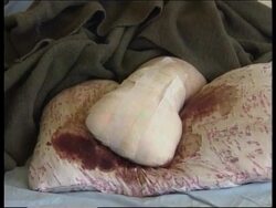 YUGOSLAVIA: KOSOVO: AFTERMATH OF NATO ATTACK ON KORISA News Clip