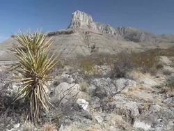 Guadalupe Mountains National Park Stock Footage