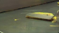 Locally grown foods aren't just for farmers markets anymore. With more than $25 million in help from the federal government, so-called "food hubs" have made locally grown foods available to hospitals, schools, restaurants and grocery stores. (July 16) News Clip