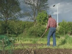 NTSC:Sowing Stock Footage