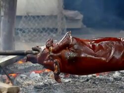 Roasting pig Stock Footage