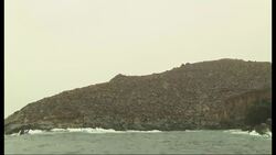 A sea lion found nearly beaten to death on a beach has made a full recovery and returned to its natural habitat on Wednesday along Peru's Pacific coast. News Clip