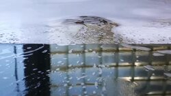 California County Urges Residents To Use Car Washes To Save Water Stock Footage