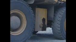 Open cast mining at a diamond mine News Clip